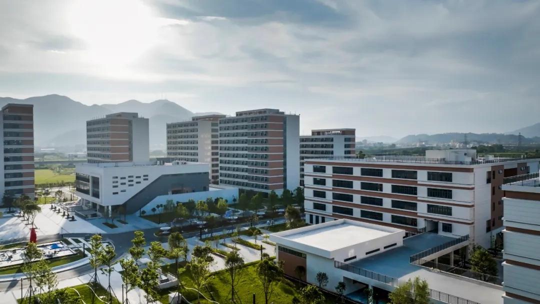 注意啦！滨海新城首批本科新生：9月19日报到[看]

福州外语外贸学院2024级