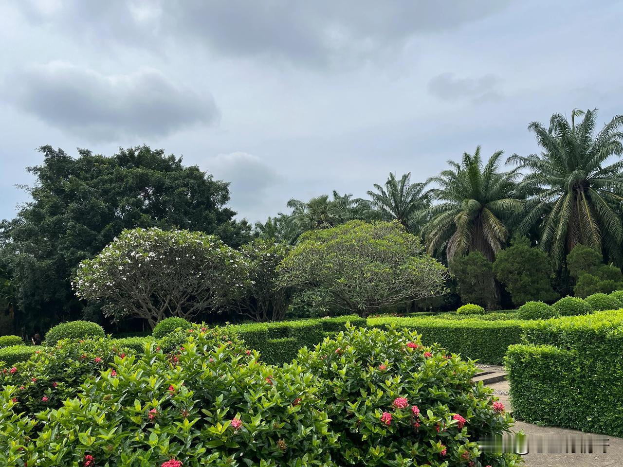 #秋日风景打卡#
西双版纳的风景真的很漂亮，随便一拍都是风景。
没有体会过四季如