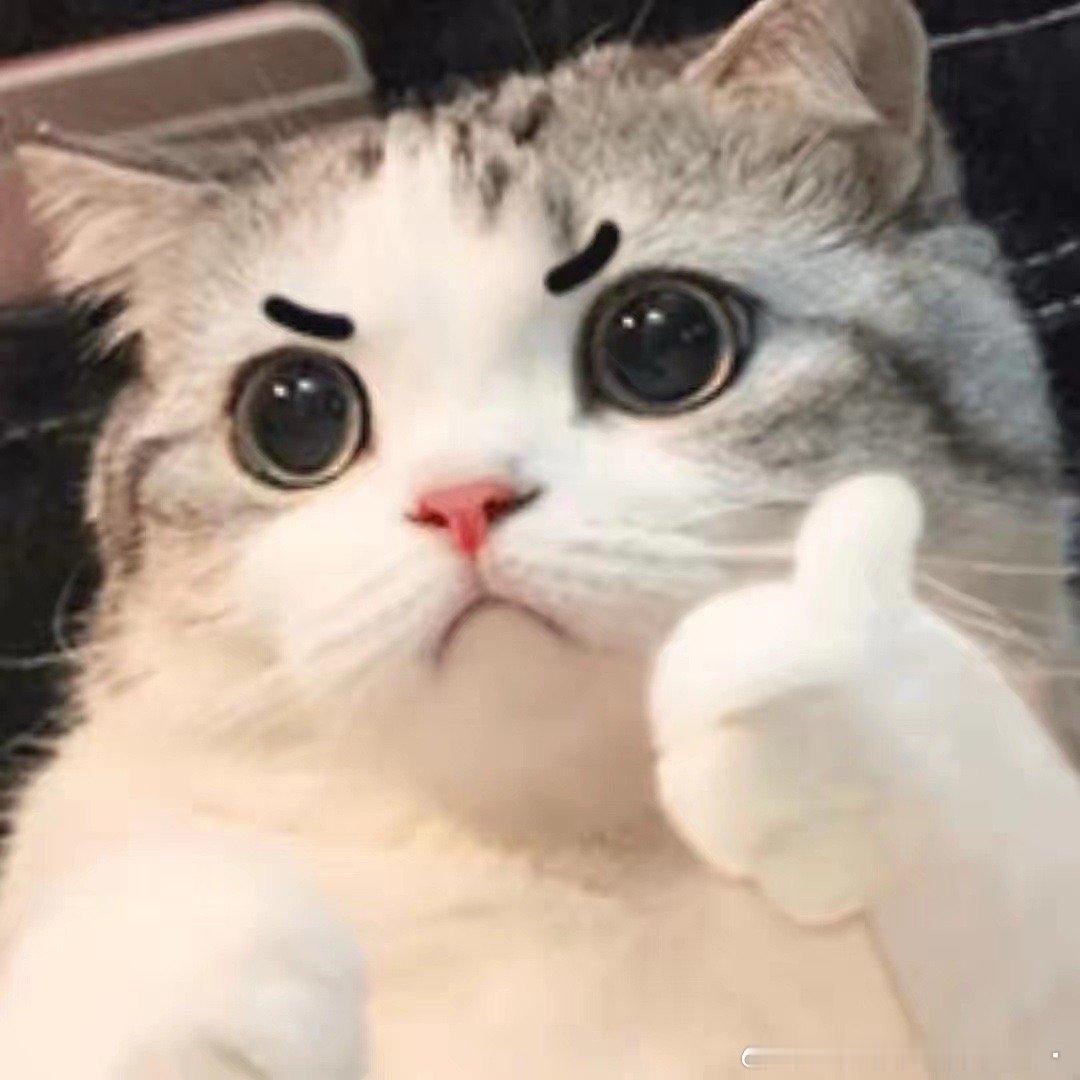 #羽绒内胆和摇粒绒哪个更暖和# 保暖的最终目的可是要让我们在寒冷的冬天也能温暖如