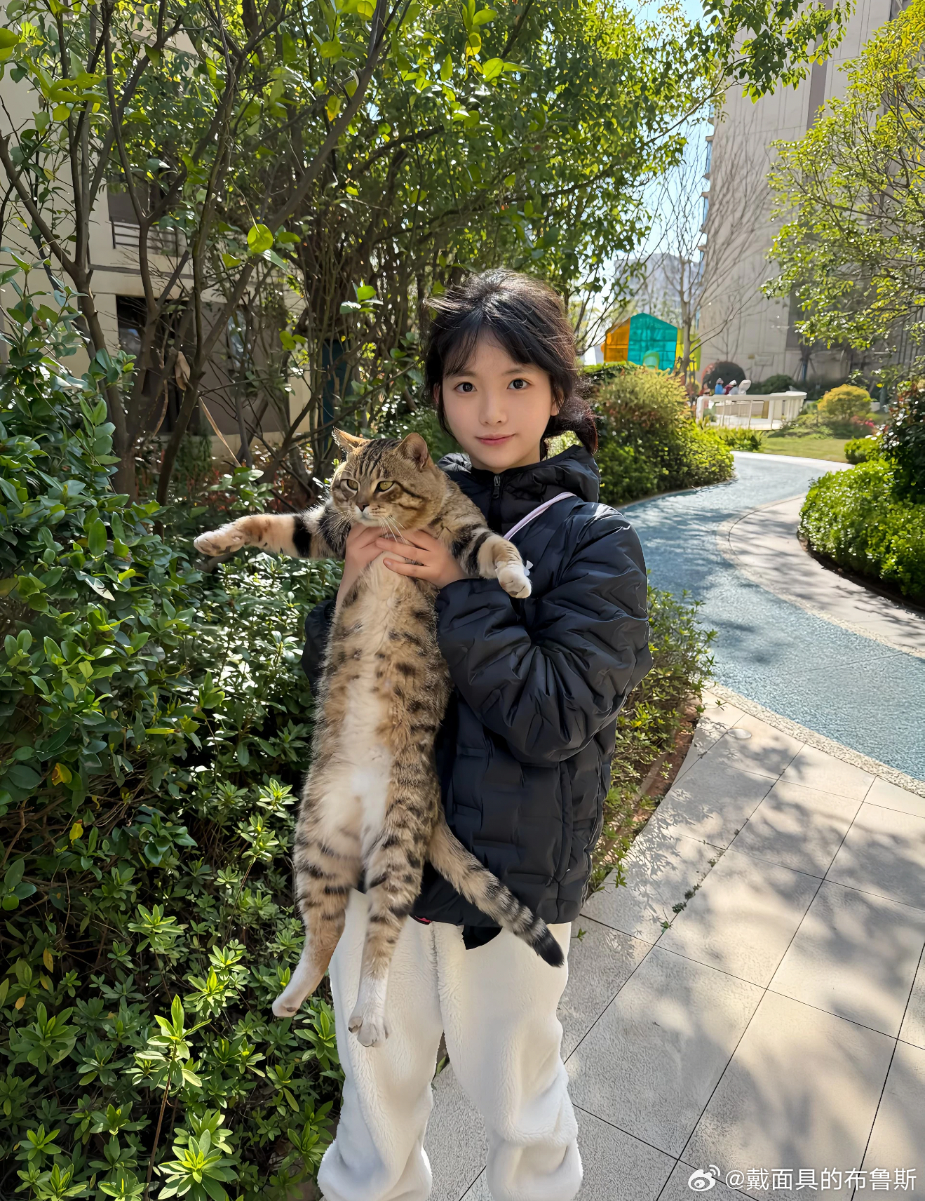 每天早起打卡正经又好看的小伙伴们早鸭 