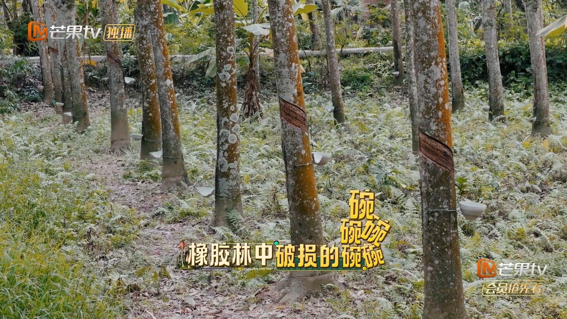 庞博预判的倒霉发生了怕什么来什么！庞博边走边嘀咕要拿碗，结果规则还真如此。精准预