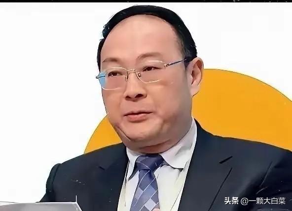金灿荣：大国不狠，没人怕！金灿荣教授一句“斗胆给中央提建议：大国不狠，没人怕，也