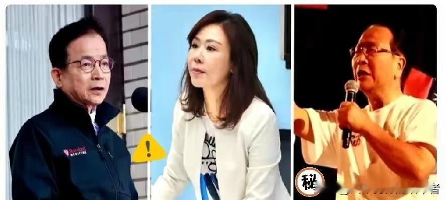 傅崐萁退出！
国民党总召尴尬：
老鸟掌控，新人被嘲，性别质疑不断！傅崐萁
国民党