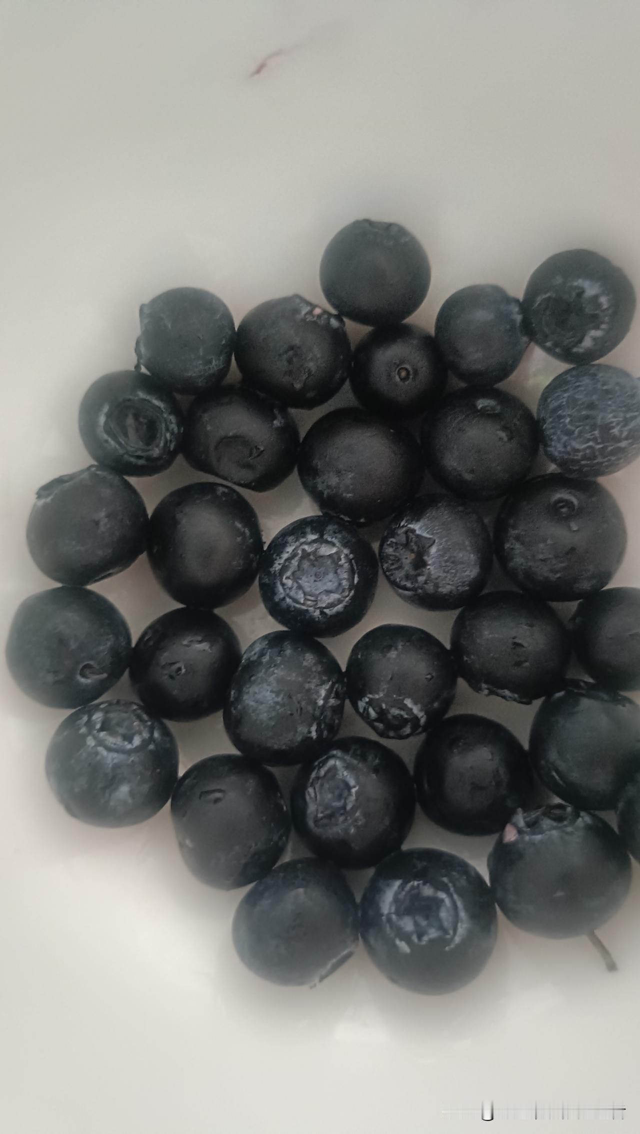 这些圆滚滚的小家伙，是刚洗好的蓝莓，像撒了一把深紫色的小宝石。
 
有的带着天然