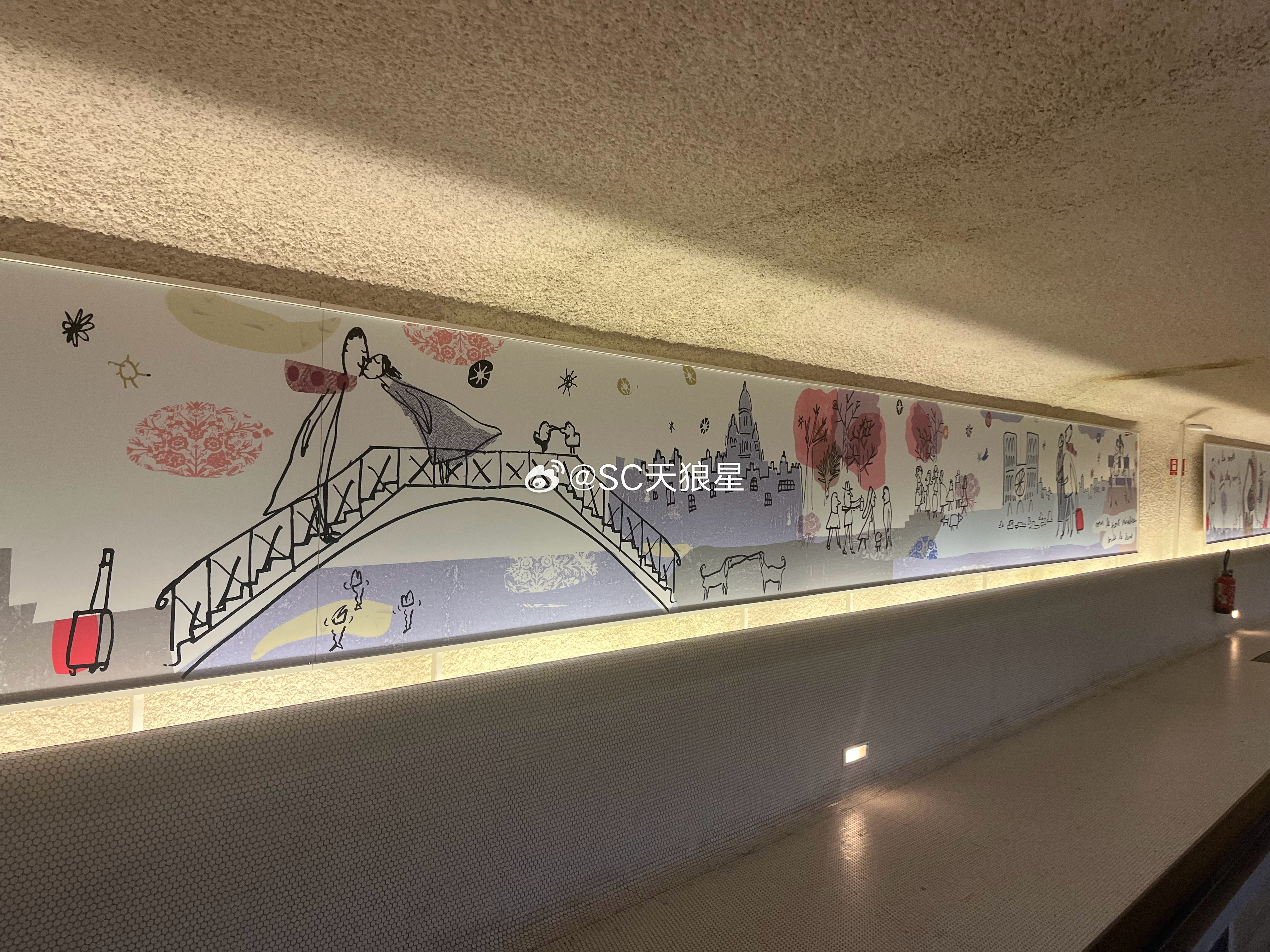 第一次来到“戴高帽就乐”机场✈️对国人还是很友好的，到处都有中文提醒。我的日常p