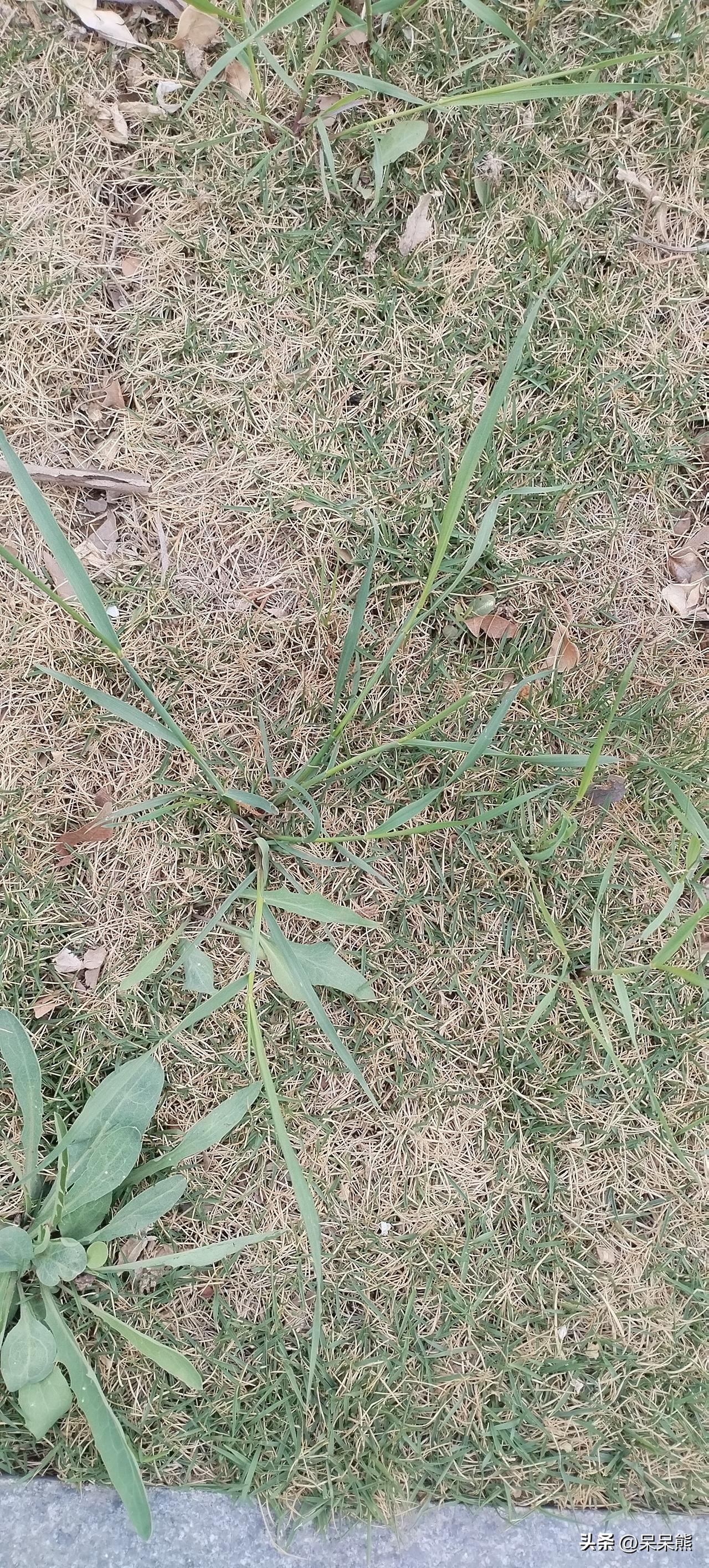 每天都不想起床，比如每天需要7点起床，定闹钟，6点30一个，然后隔5分钟一个，直