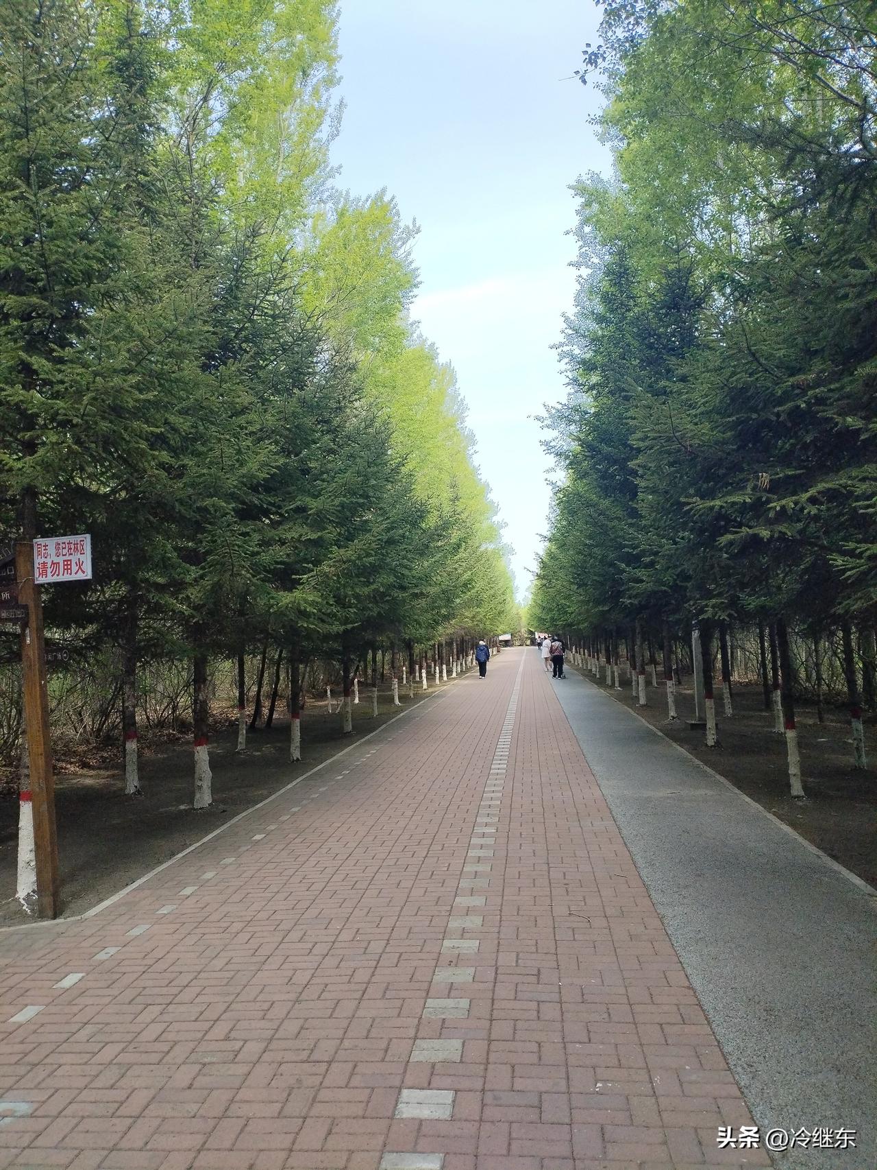 这次中美会谈，特朗普明确表示反对台独。这种对台独的警告，影响是巨大的。
  对台