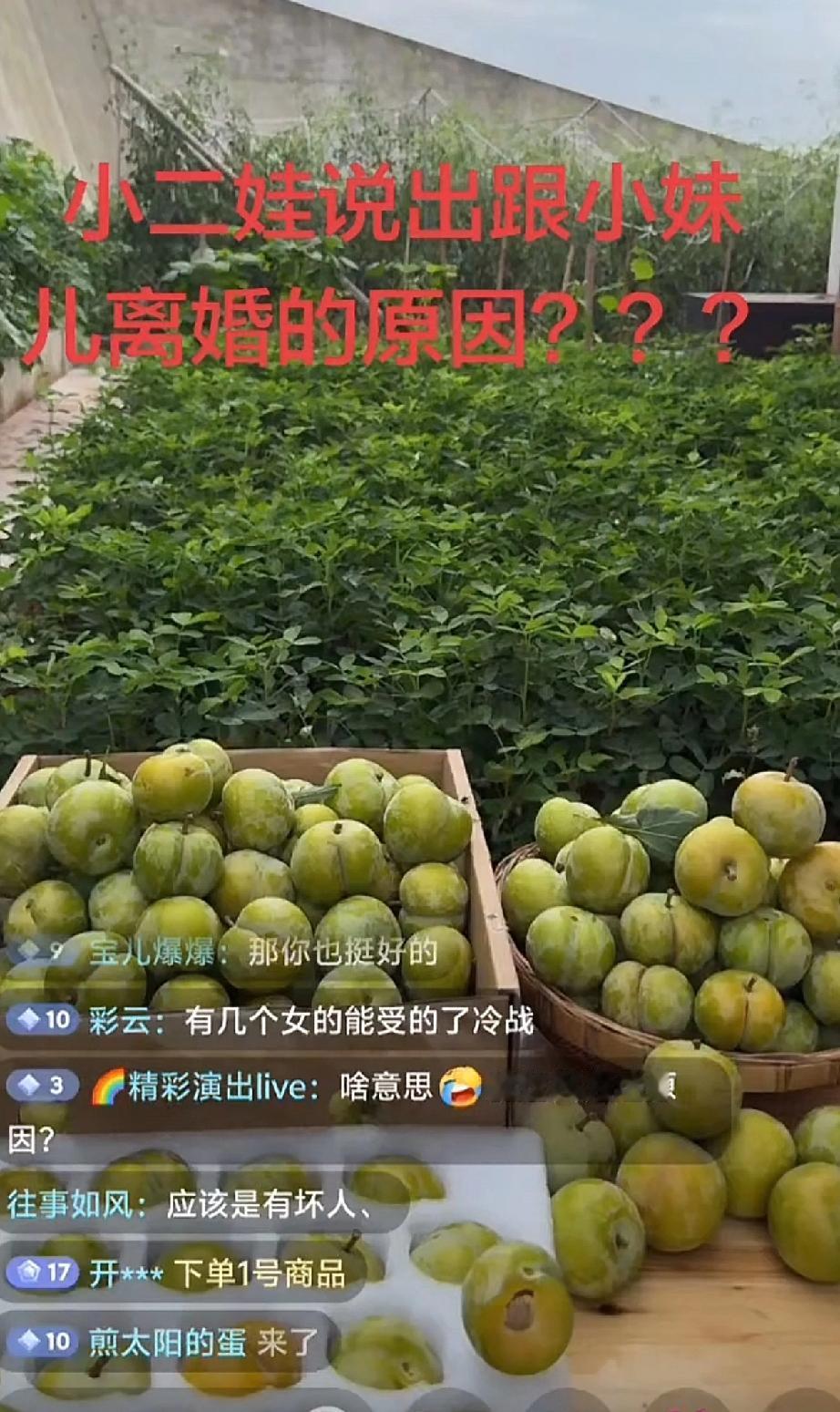 小二娃这是怎么了，难道和吴晓慧产生矛盾了，小二娃直播时说强调他现在没结婚，突然觉