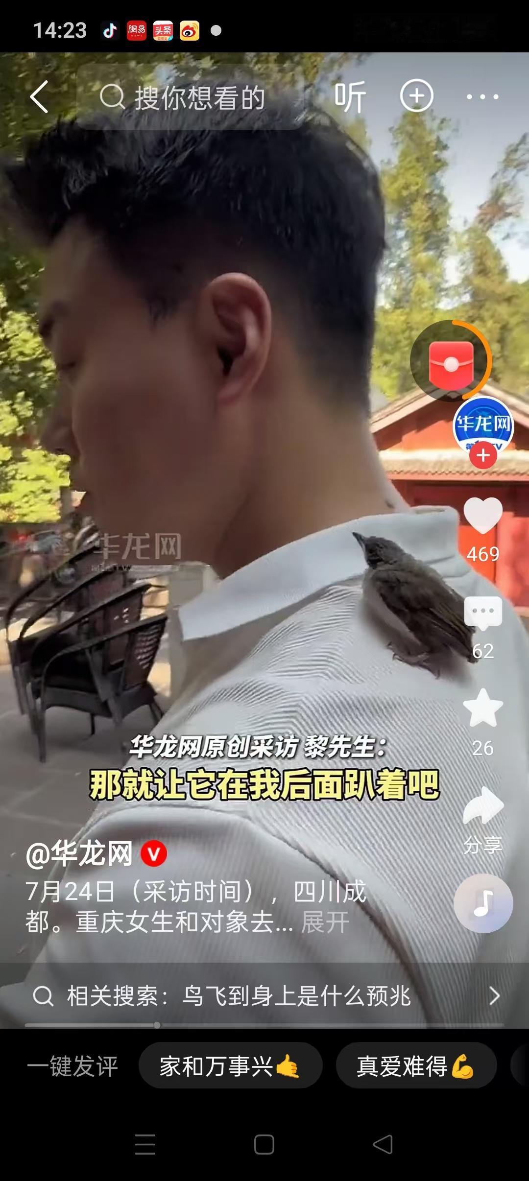 四川成都，一对情侣在祈福还愿的时候，一只小鸟主动落在男生肩头，一路相伴。
 
老