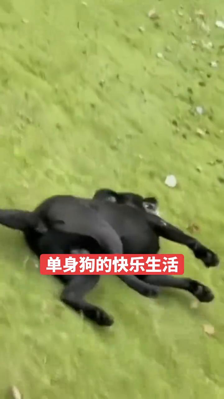 你别笑。