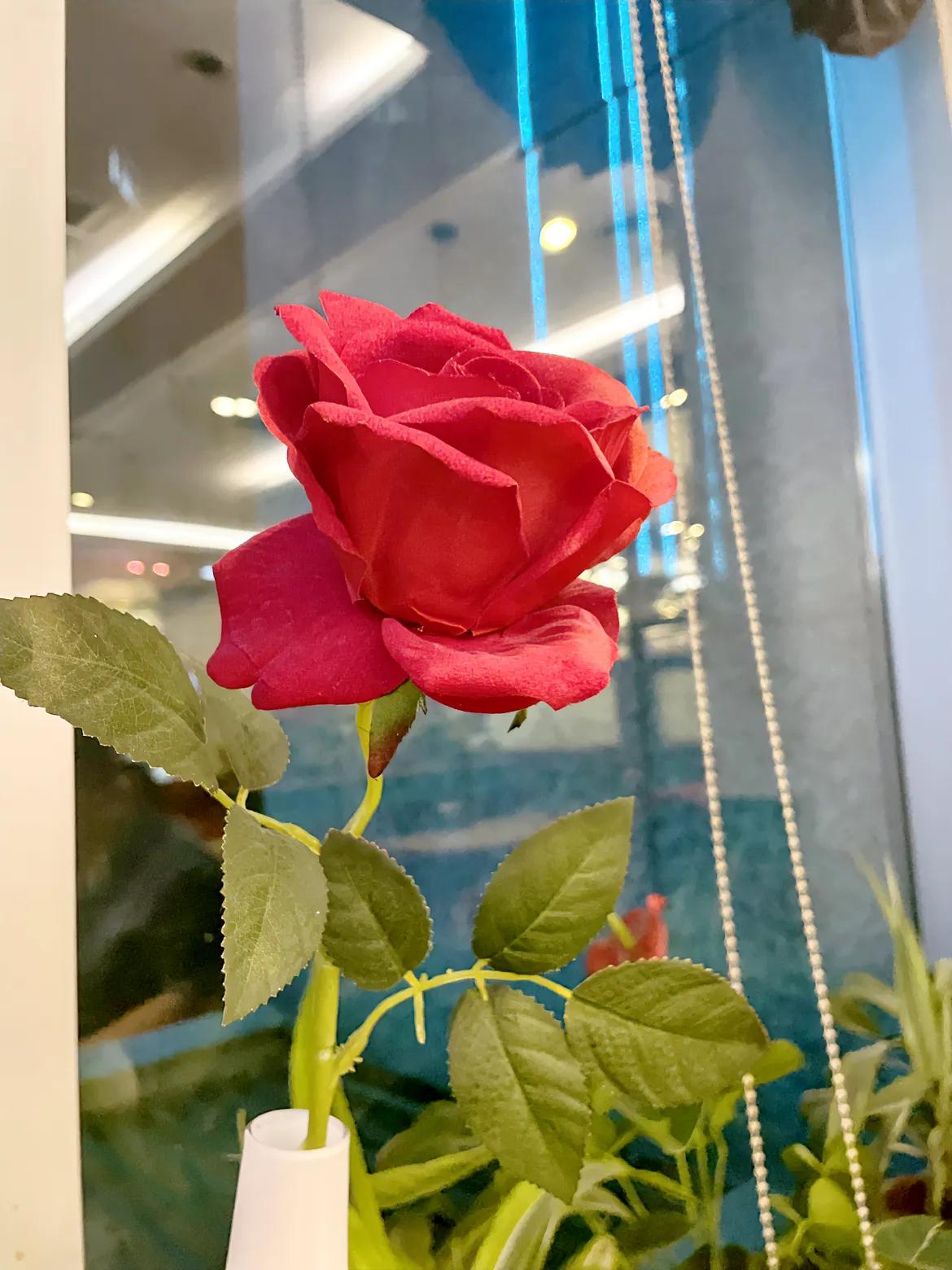 #有孩子后最大的变化是什么#有了孩子后，最大的变化在于生活重心和情感体验的深刻转