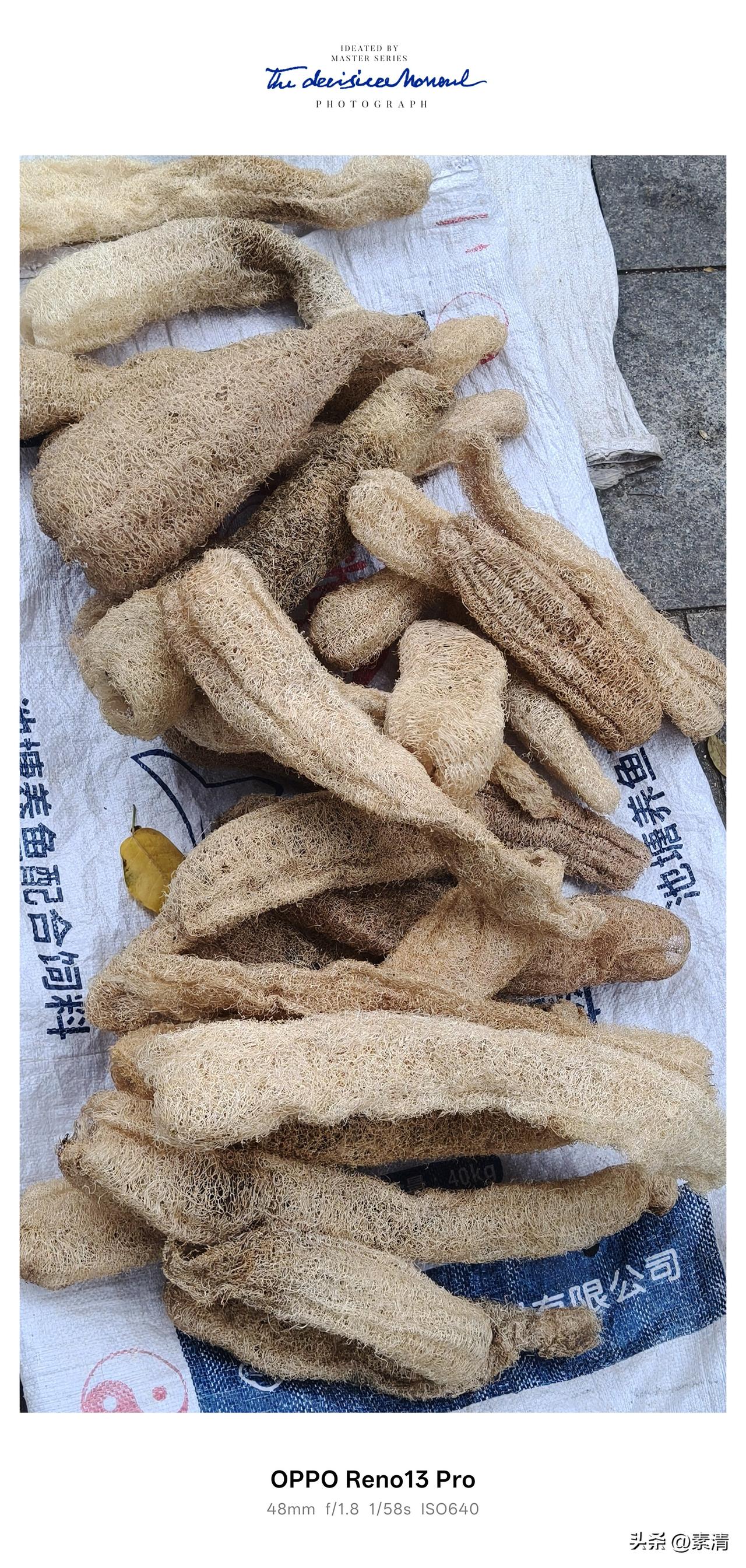 今天逛集市，看到摊位上摆着一堆晒干的丝瓜瓤，网状的结构看着特别有意思，一下子勾起