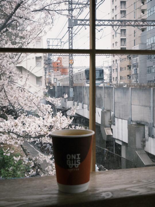 Tokyo中目黑🇯🇵電車樱花窗景社區咖啡馆☕️
