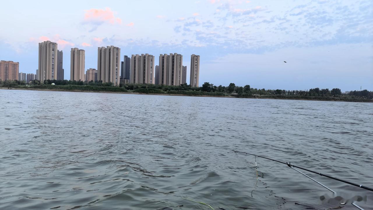 【西江月•盛夏】
盛夏难离暑气，
荷塘却有清风。
接天碧叶与谁争，
不惧炎炎绿逞