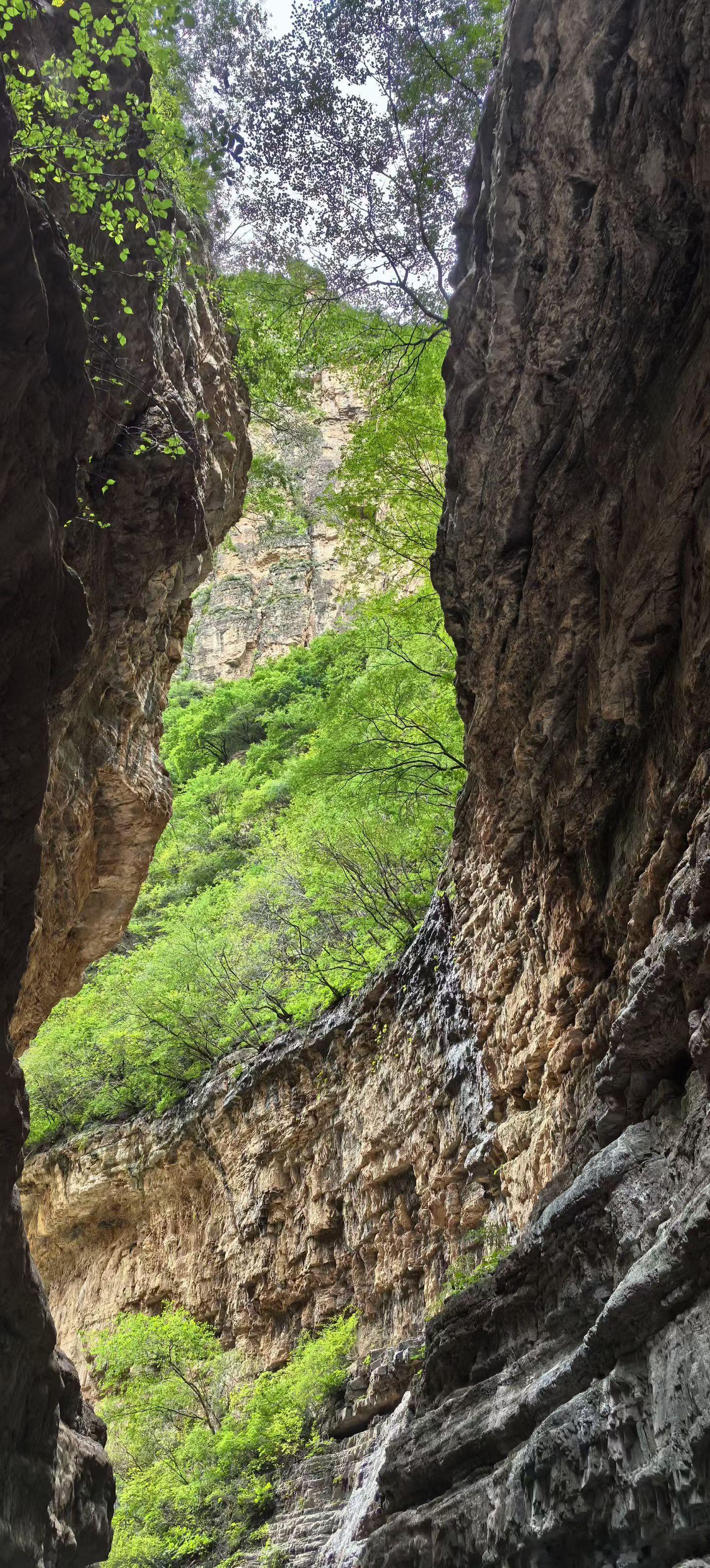 生活手记爱情从来不是距离的长短，而是心与心的贴近。真正的爱，能跨越山海，抵过岁月