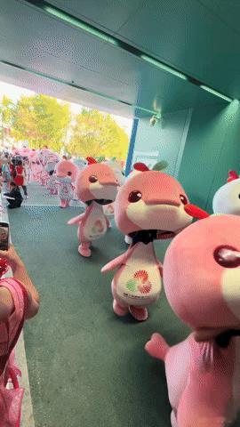 谁能拒绝“大湾鸡”的可爱暴击？十五运会吉祥物萌翻全场
 
谁能抵挡住一群圆滚滚、