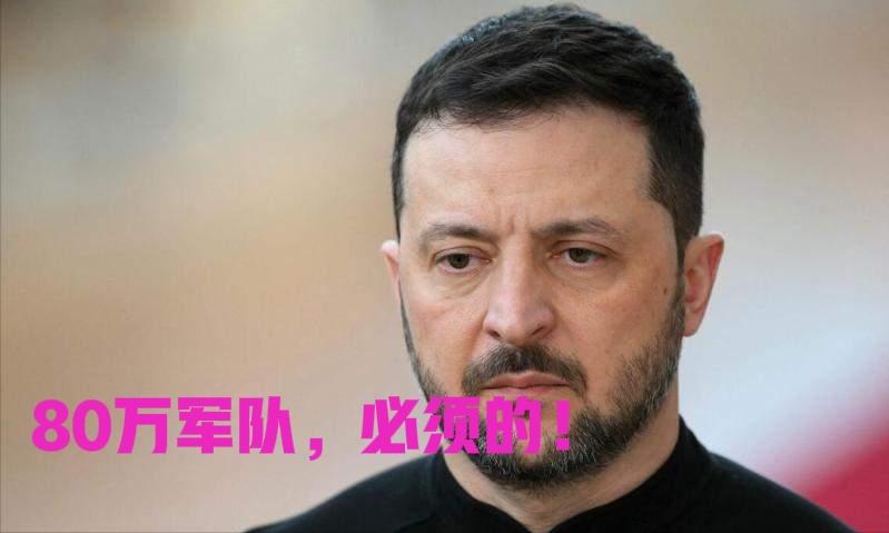 乌克兰执意要保留80万军队，着实可笑！
在俄乌和平协议中，有一条内容是乌克兰和欧