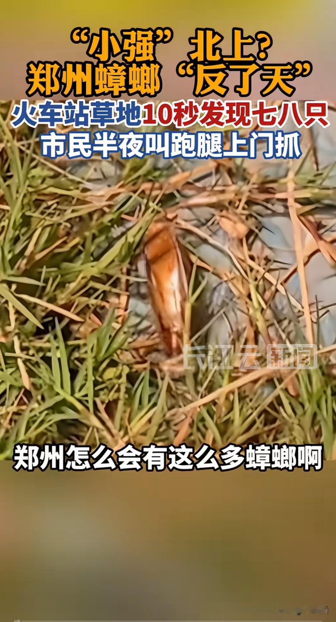 以前的电脑病毒很多，各种各样，所以杀毒软件是收费的。
后来有企业搞了免费杀毒，您