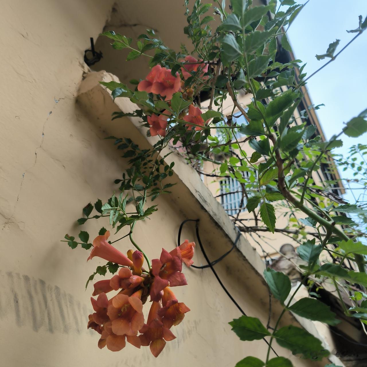 再婚家庭有子女也可以相处和谐

今天上午大儿子给我发来了微信，告诉我，他给我们买