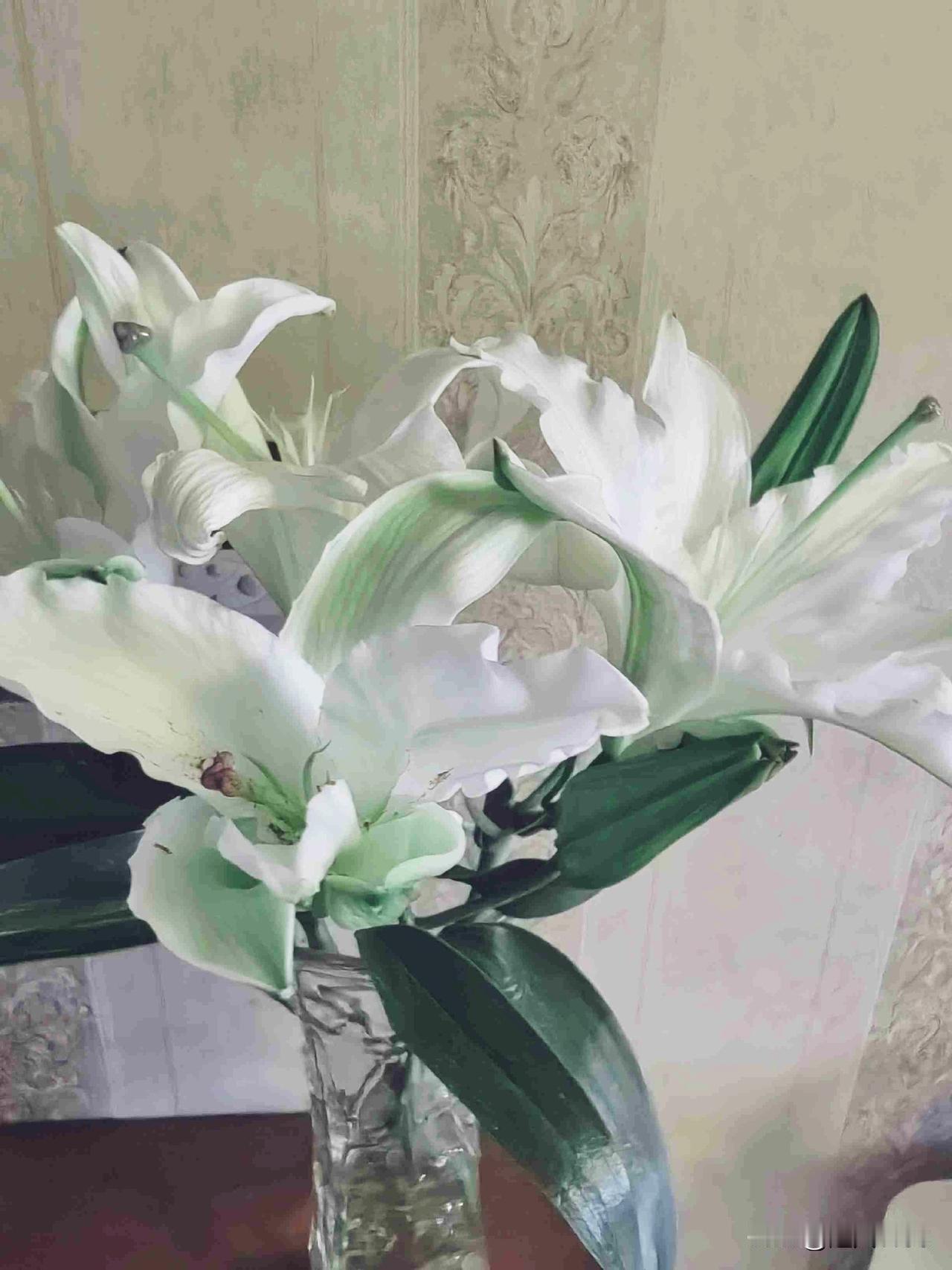 我的今日状态：😁轻松愉快
我这里的天气：☀️晴天

今天好天气好心情，
女儿给