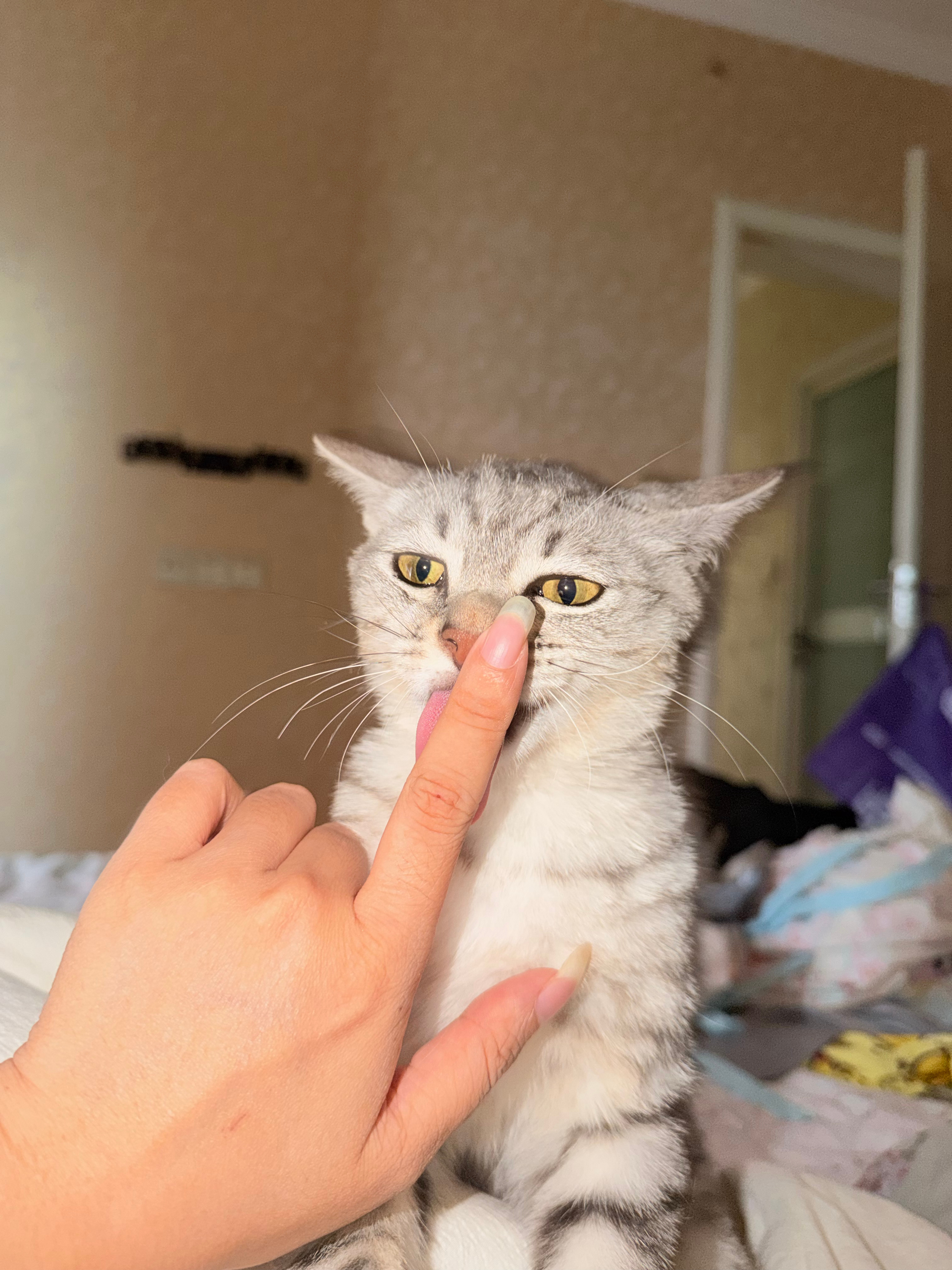 我现在就准备睡觉了。 