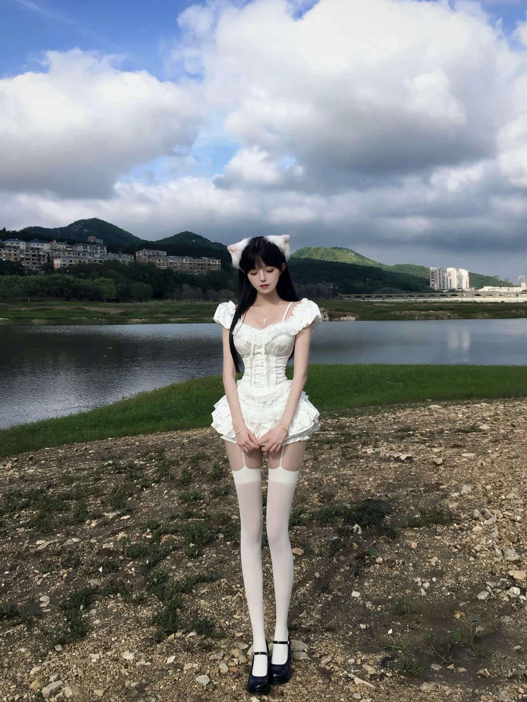 🕊️