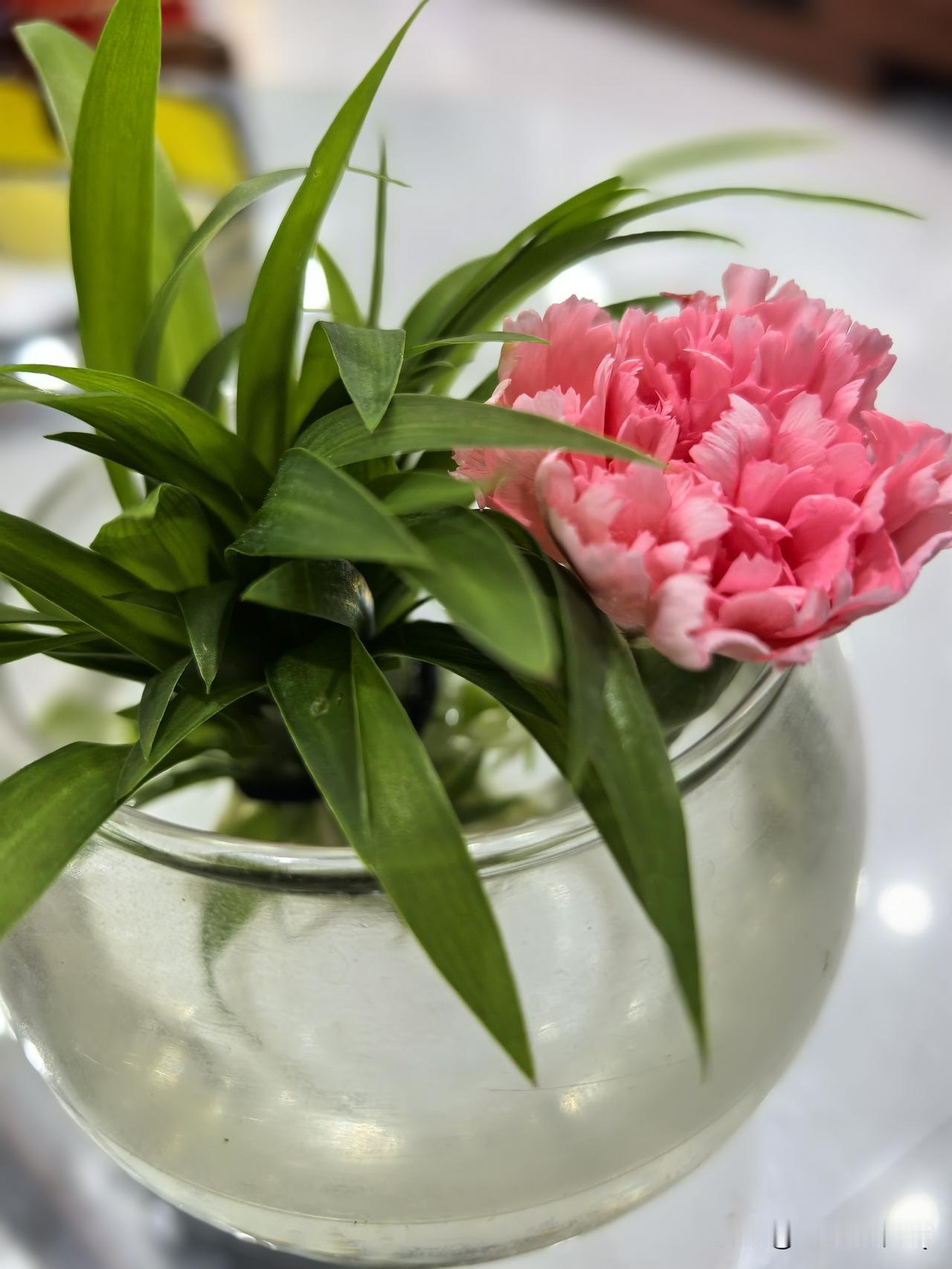 用一句话概括人生最淡然的态度看淡世间纷扰得失，不慌不忙，不攀不比。于烟火日常里寻