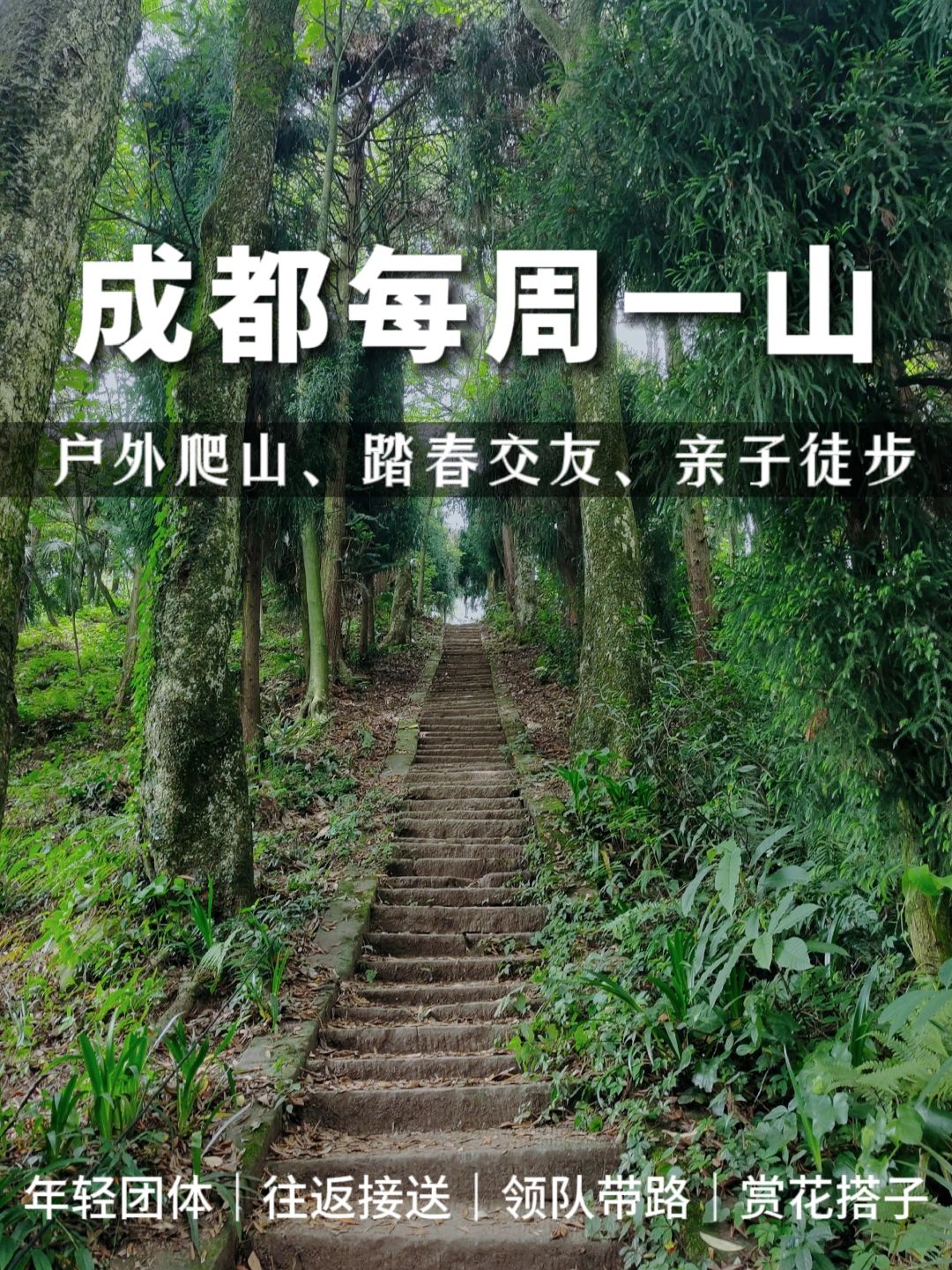 成都周边一日往返❗上元古道山野秘境徒步