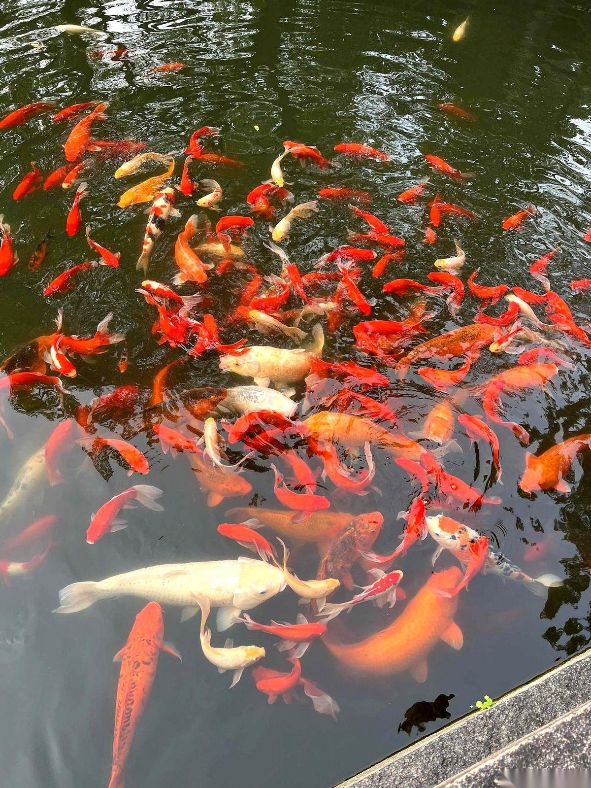 我跟你说，有一种人，你最好离他远点。
不是他脾气有多爆，也不是他技术有多菜。
而