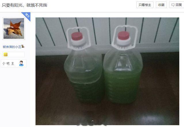 #不上班但又饿不死的活法#小球藻了解下，据说贴吧大神“藻哥”养它靠光合作用就能活