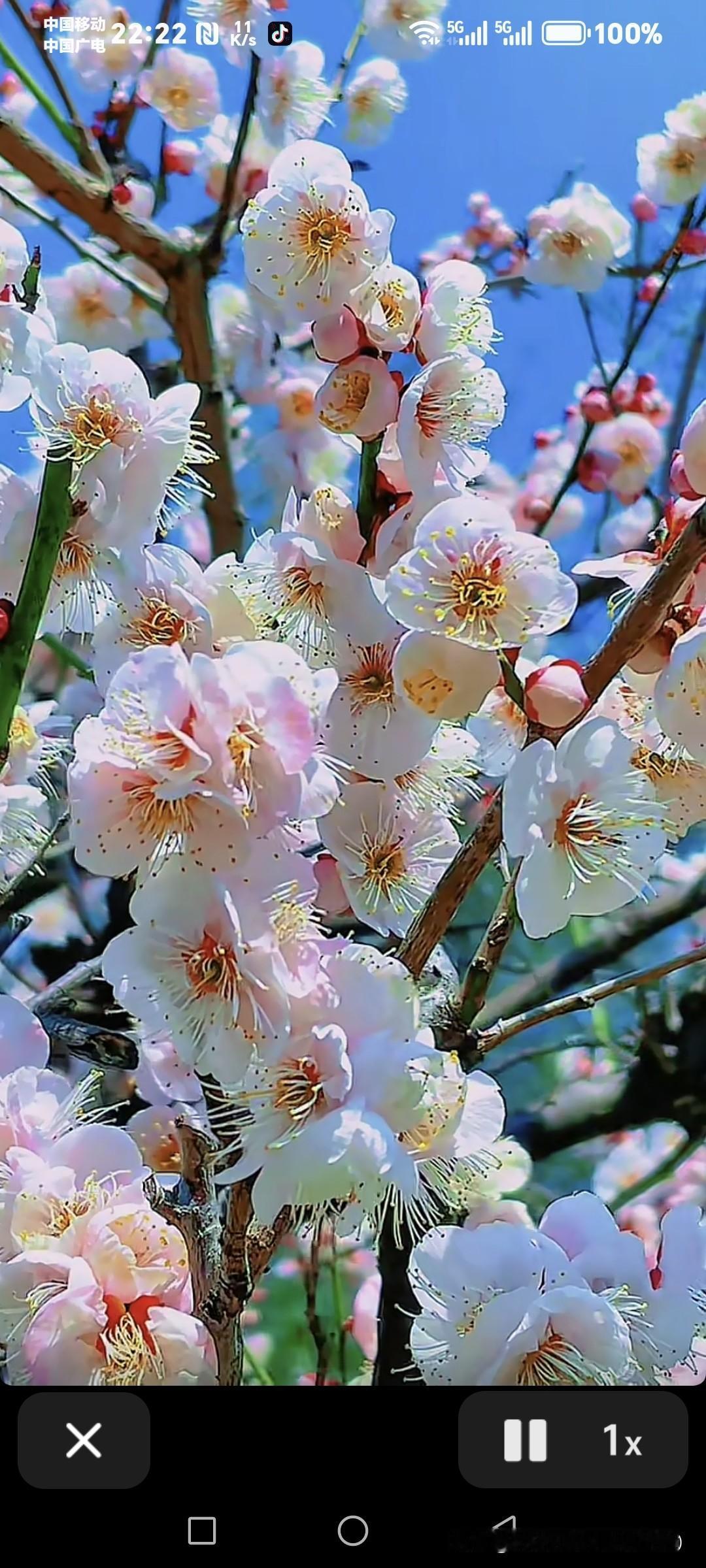 你认为一个人最可贵的品质是什么
 
我总觉得，一个人最可贵的品质，从不是什么惊才