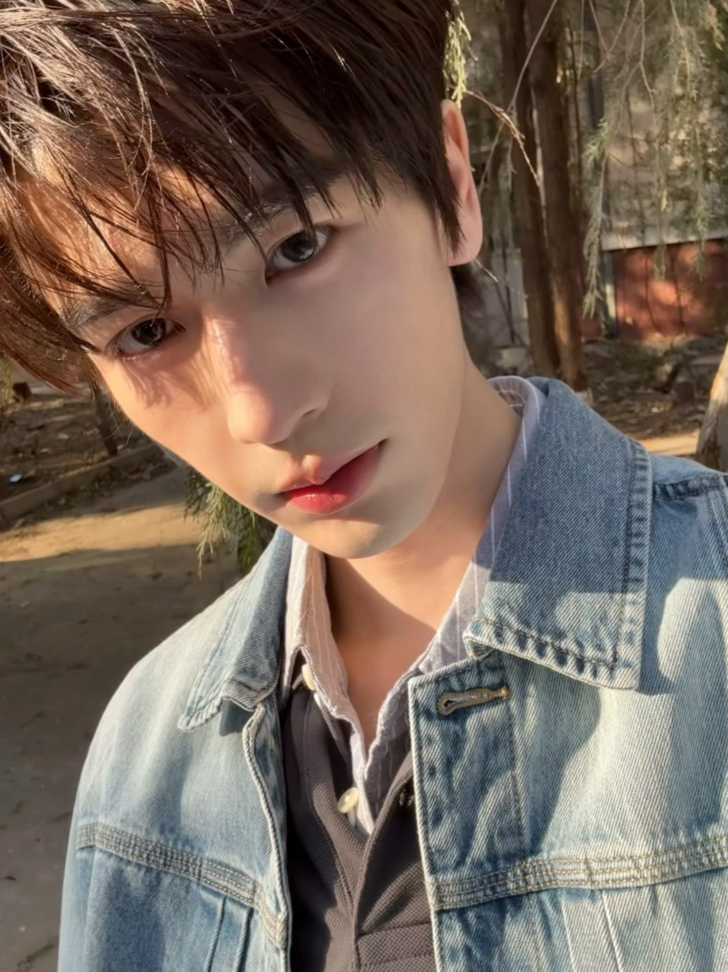 张凌赫牛仔live自拍谁能拒绝张凌赫的春日自拍啊☀️阳光、树影、干净的牛仔外套，