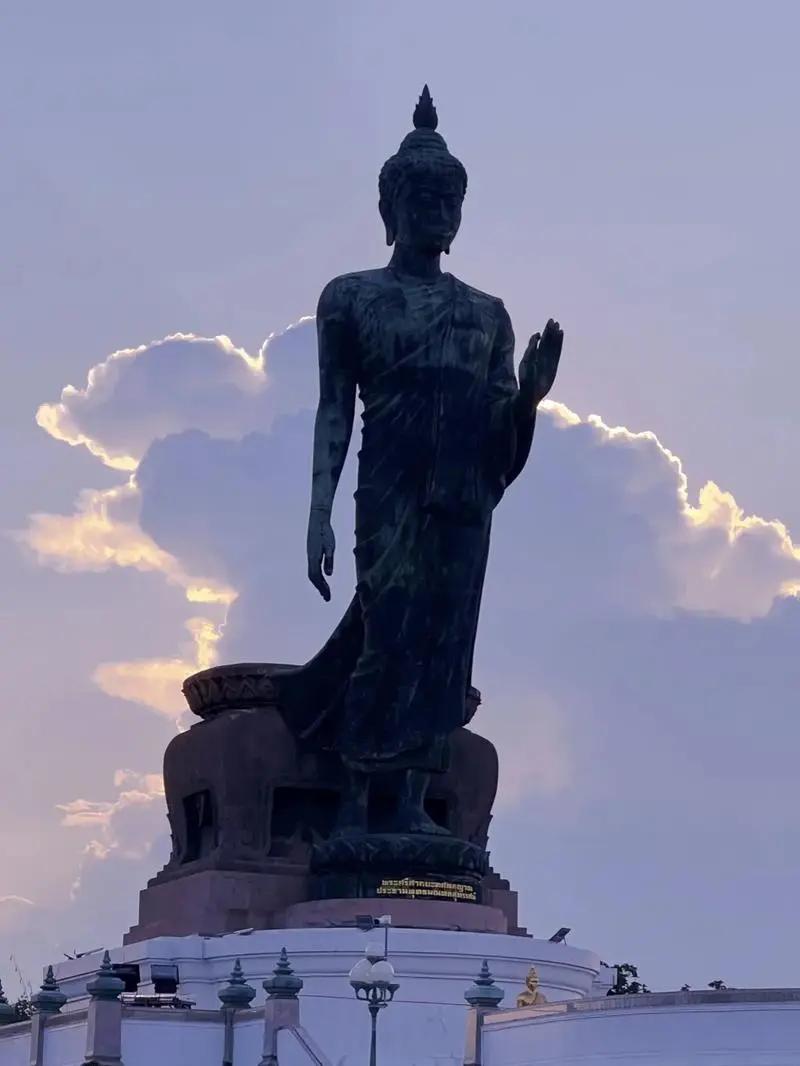 #8月14日绿色情人节#
今天是公元2024年8月14日，今天是来自东欧国家的一