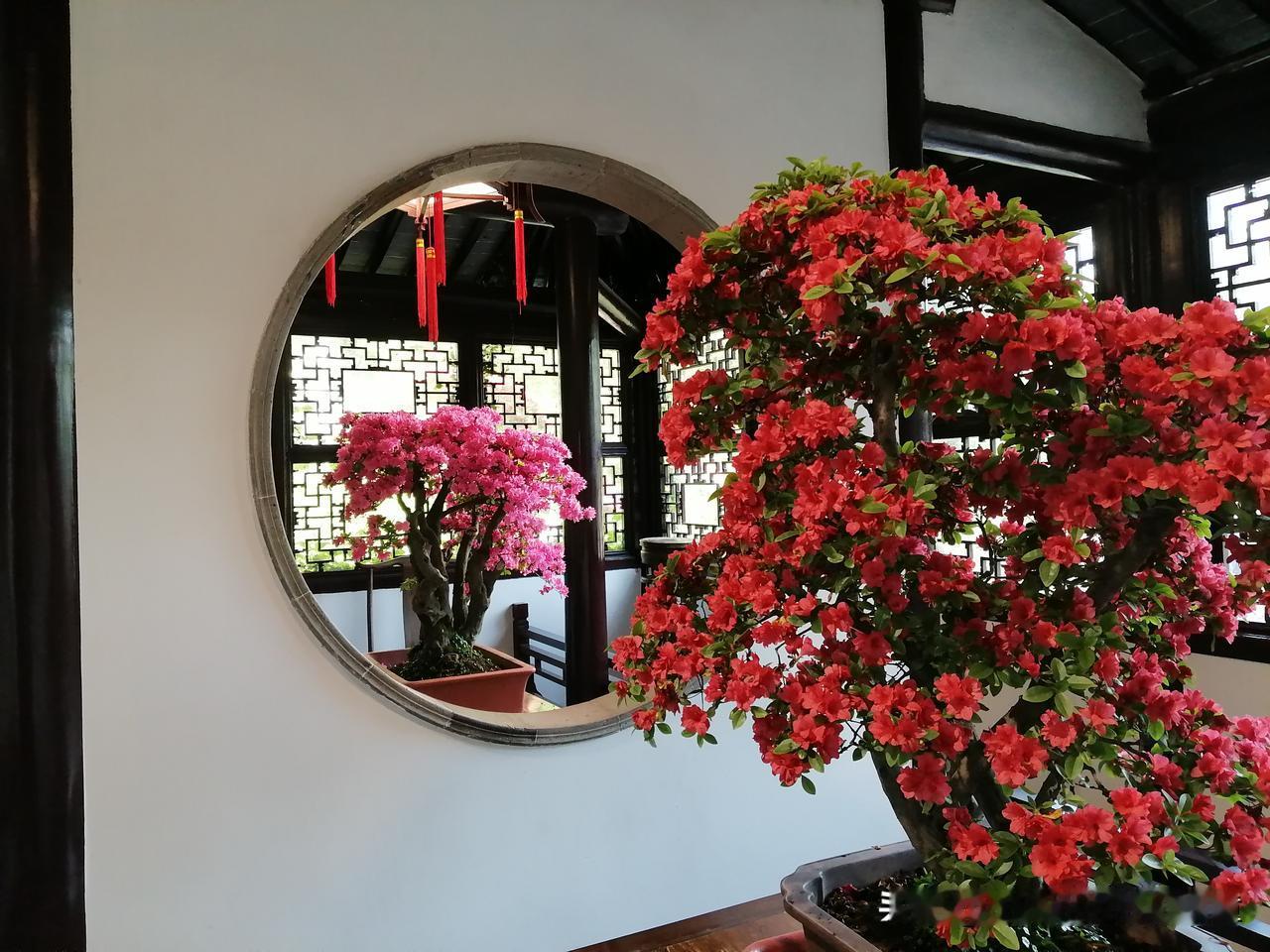 他的心底，只剩一个纯粹又执拗的念头：
“这一次，我绝不能再度踏空。我笃定自己的判