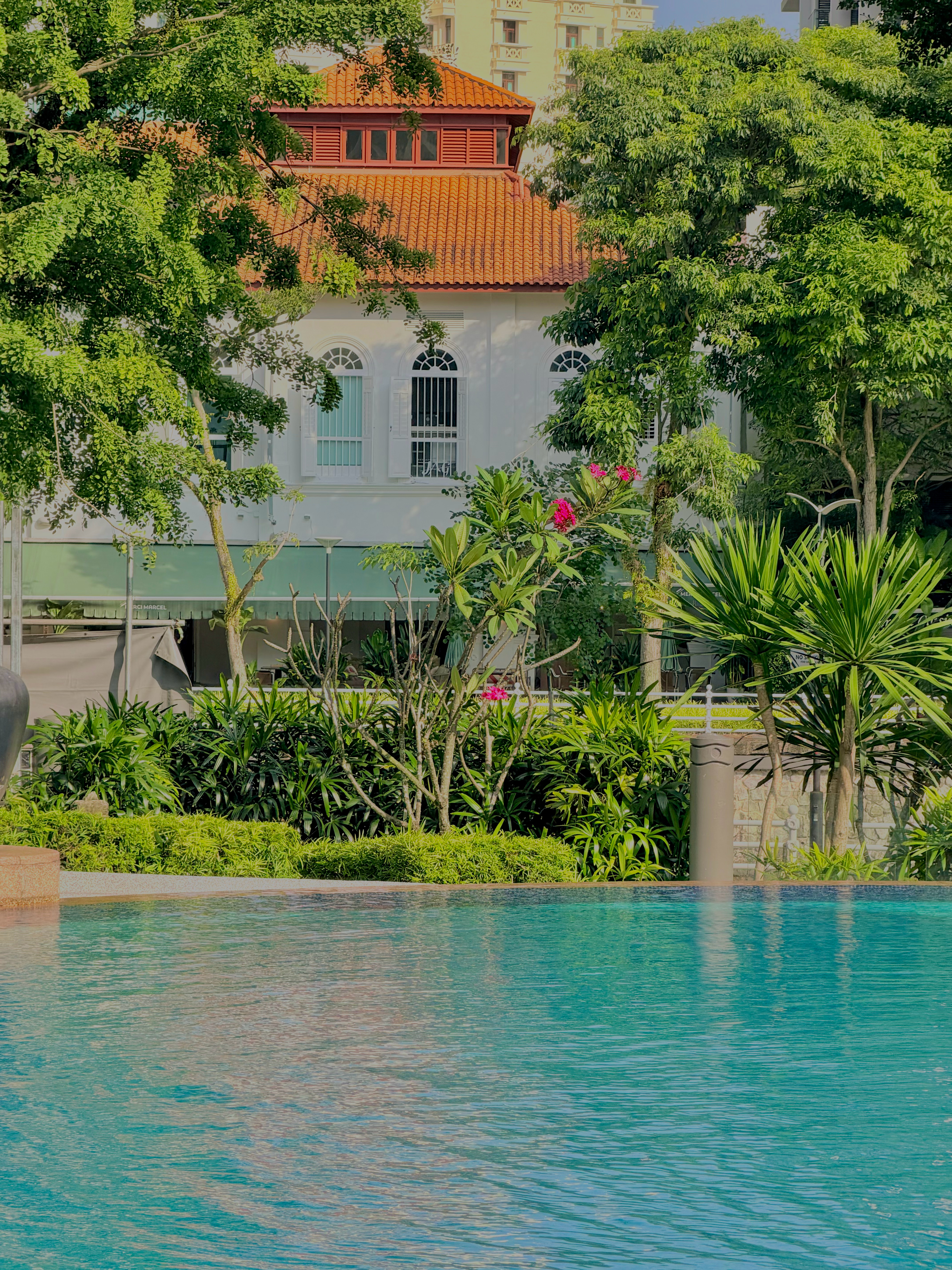 食早餐来啦🍳结束一周自我生活