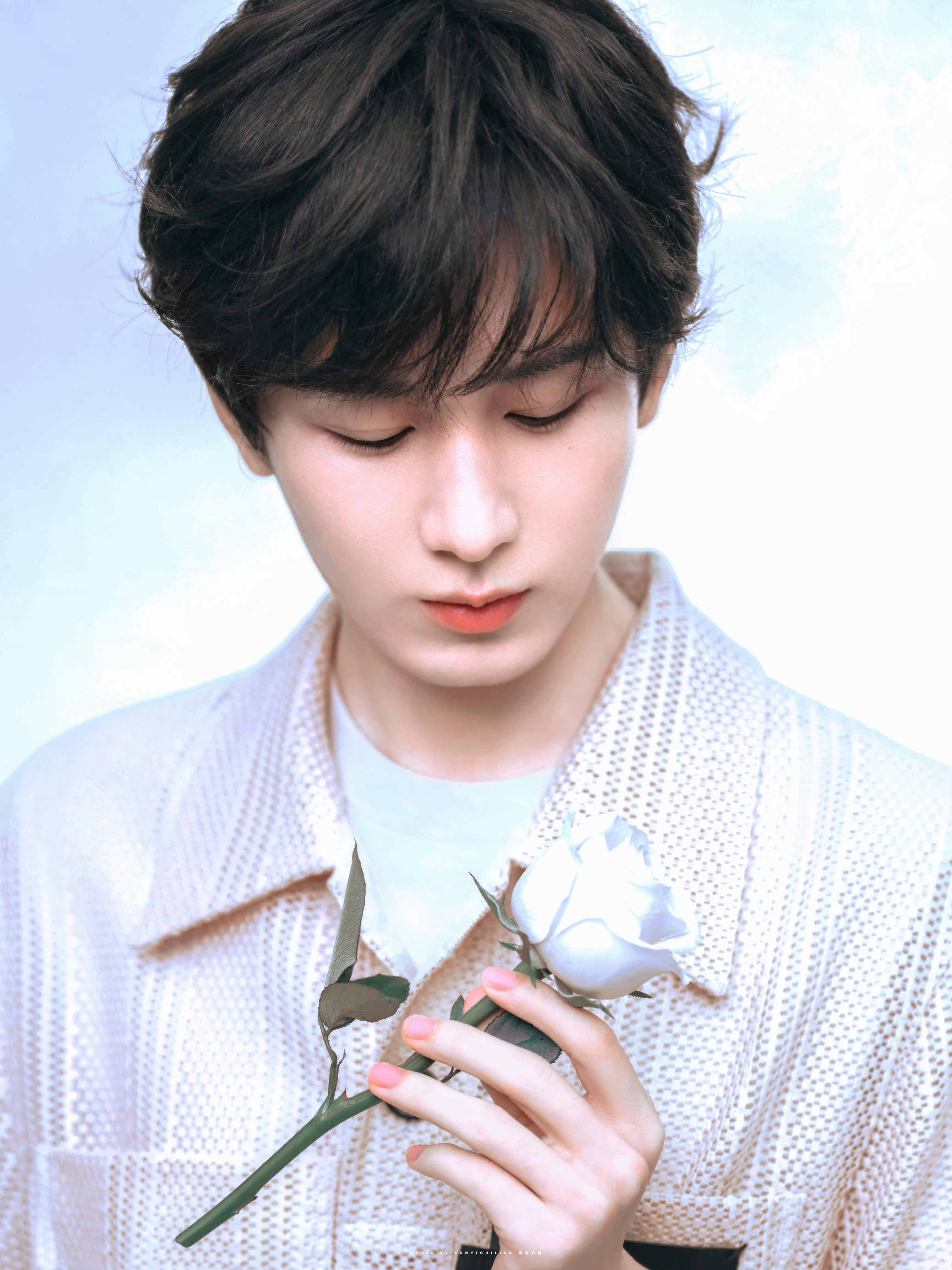 对你的爱只增不减 今天也是呀