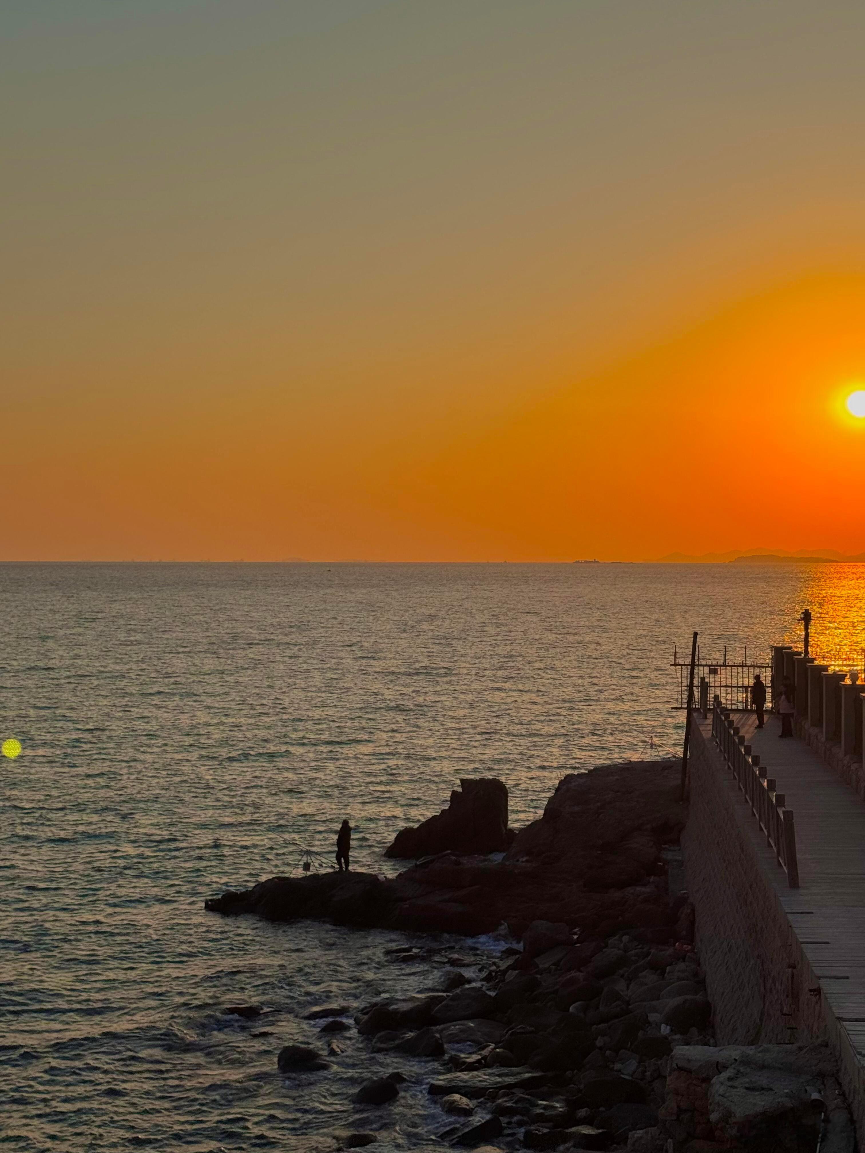 真正的真诚，不是把所有伤口都摊开，而是知道哪些话该在哪个时刻说。别人喜欢你的花和