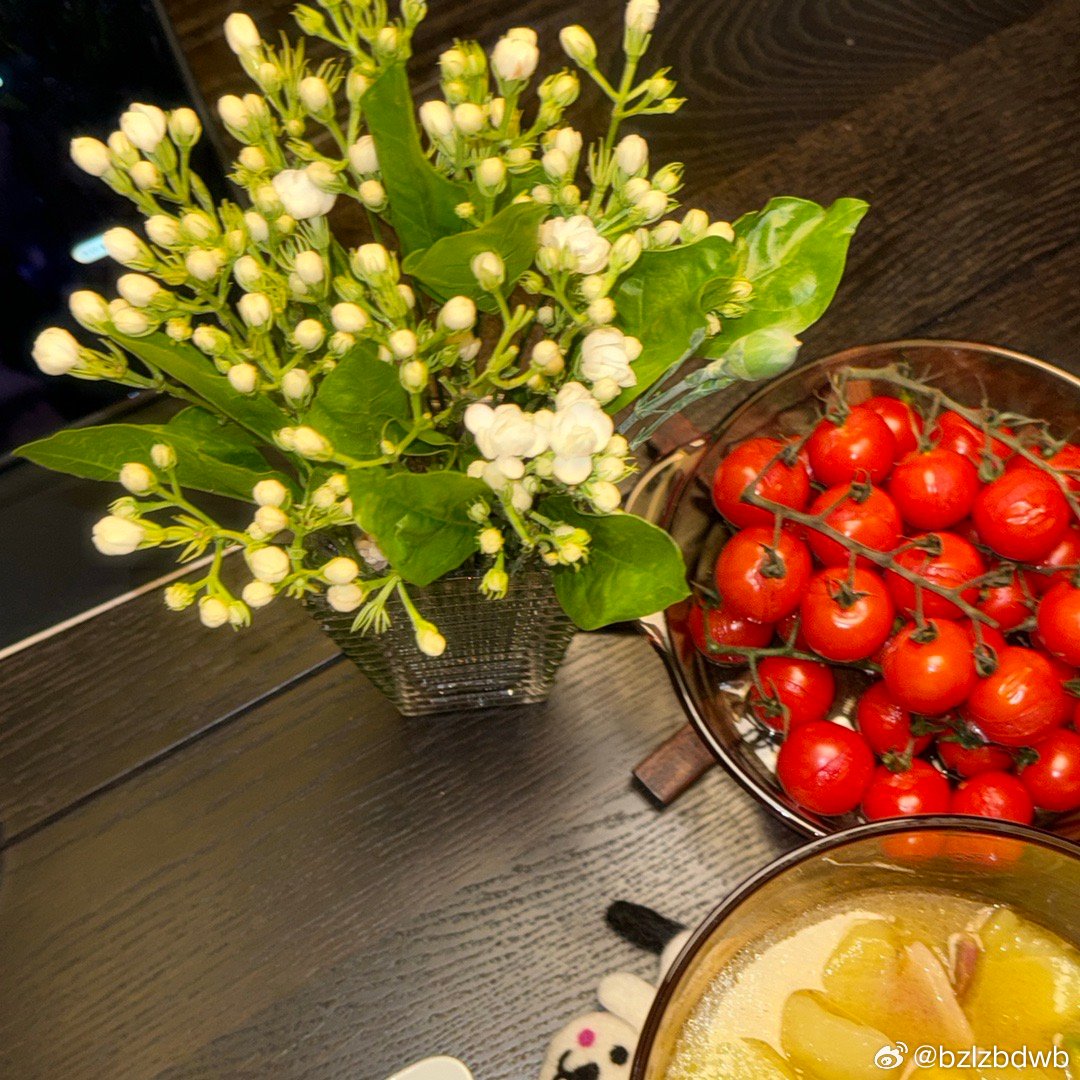 最近：隐居养花嘿嘿 