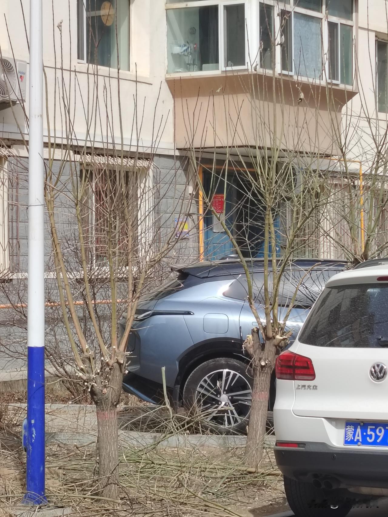 本该每年像图3杏花🌸🌸🌸满枝头，结果（图2）的杏树被物业砍得光秃秃，现在也