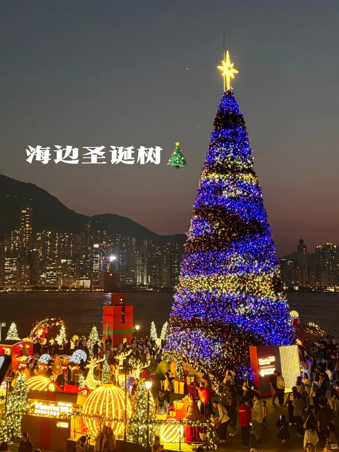 12.6🎄总要去香港西九龙看一次海边圣诞树吧