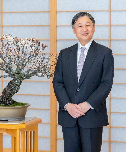 8 月 15 日日本战败 81 周年，德仁天皇追悼仪式再提深刻反省，已是连续第二