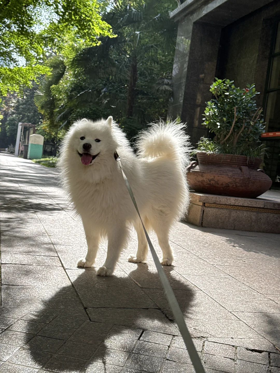 原谅这个世界一分钟