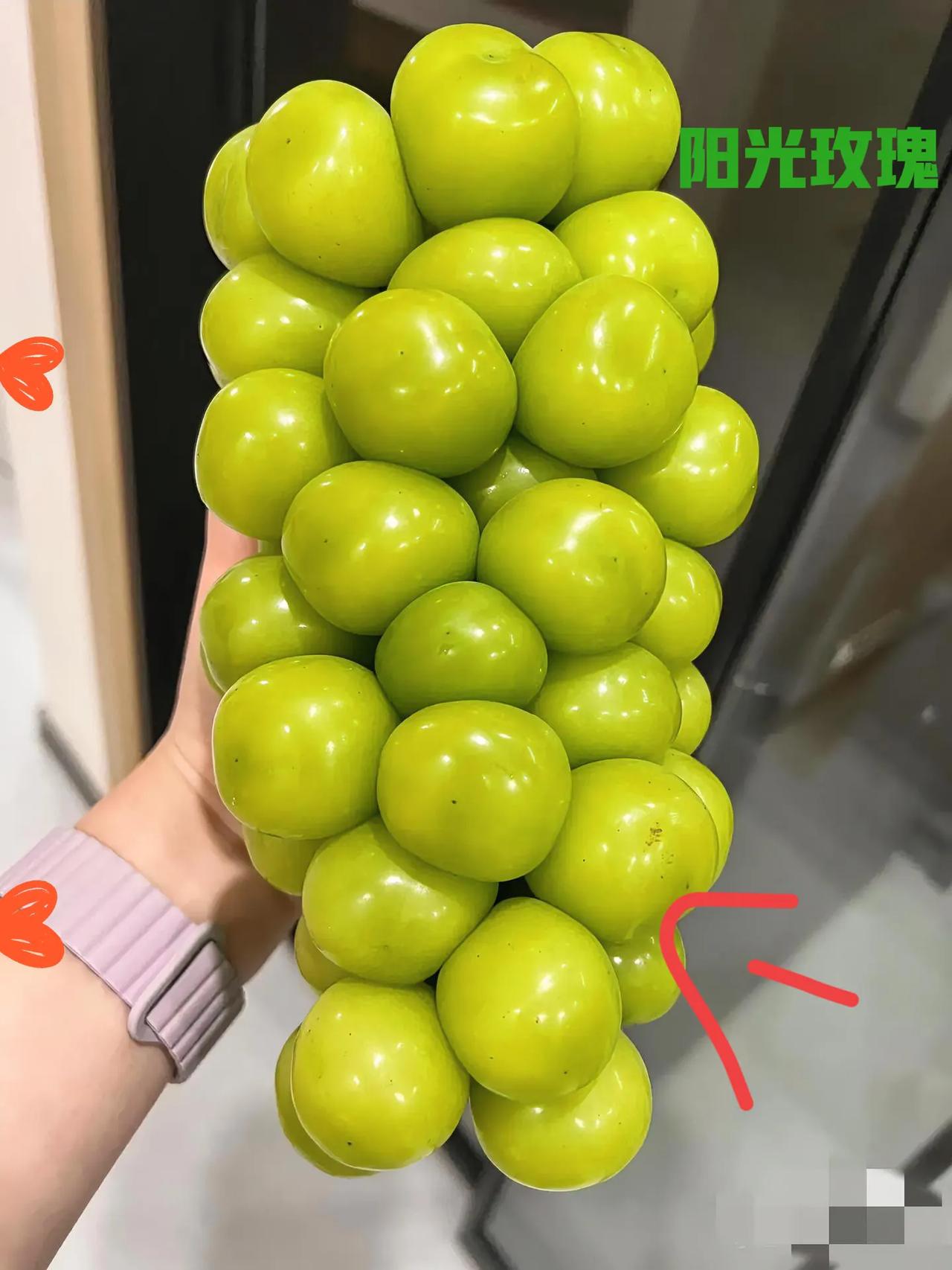 你敢信吗？
 
曾经论颗卖都觉得贵的阳光玫瑰，

现在超市里4块钱就能买一斤。