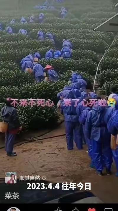 场面壮观 应急救援 平安守护 光荣 致敬