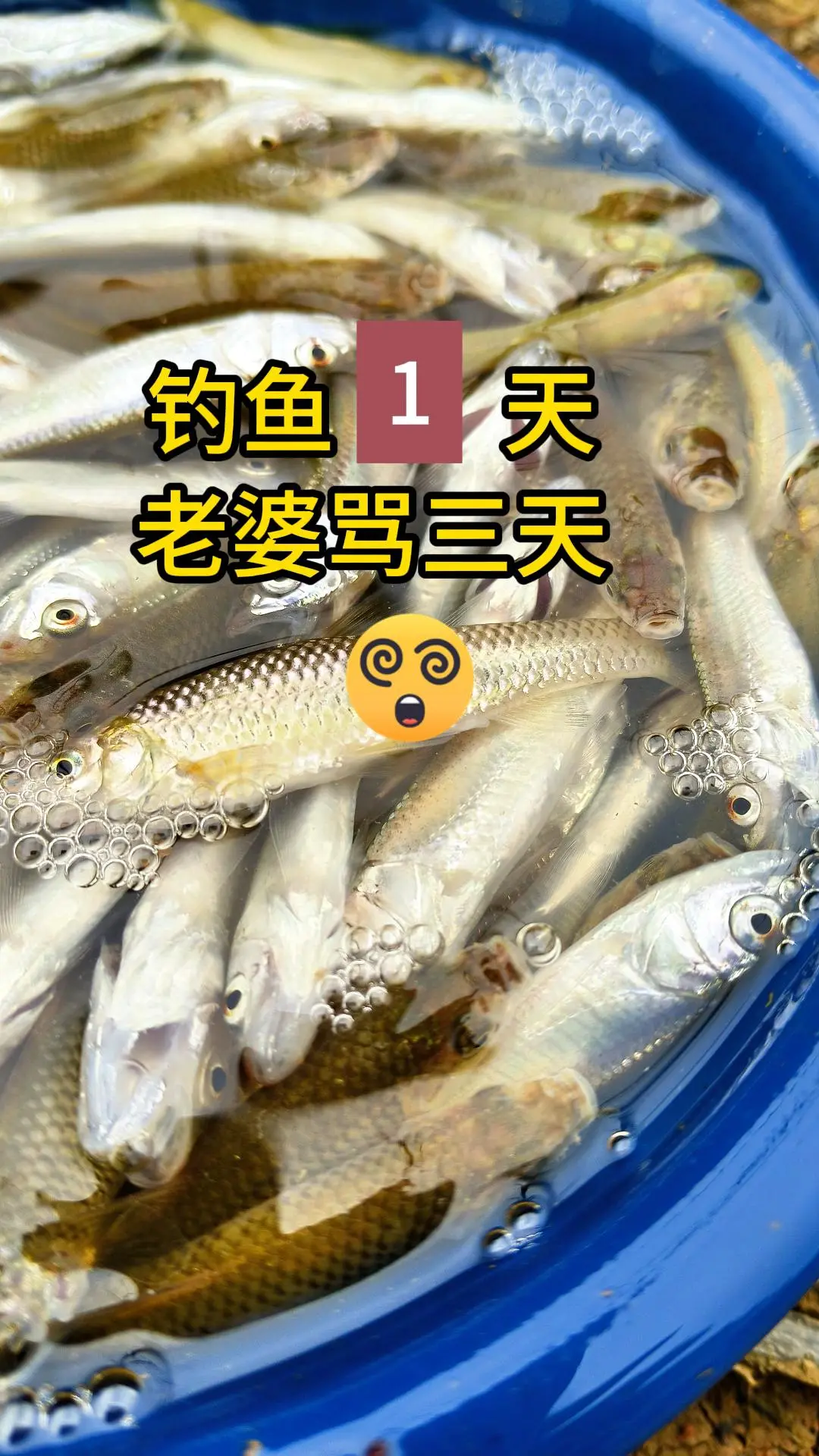 老婆为什么骂我呢？