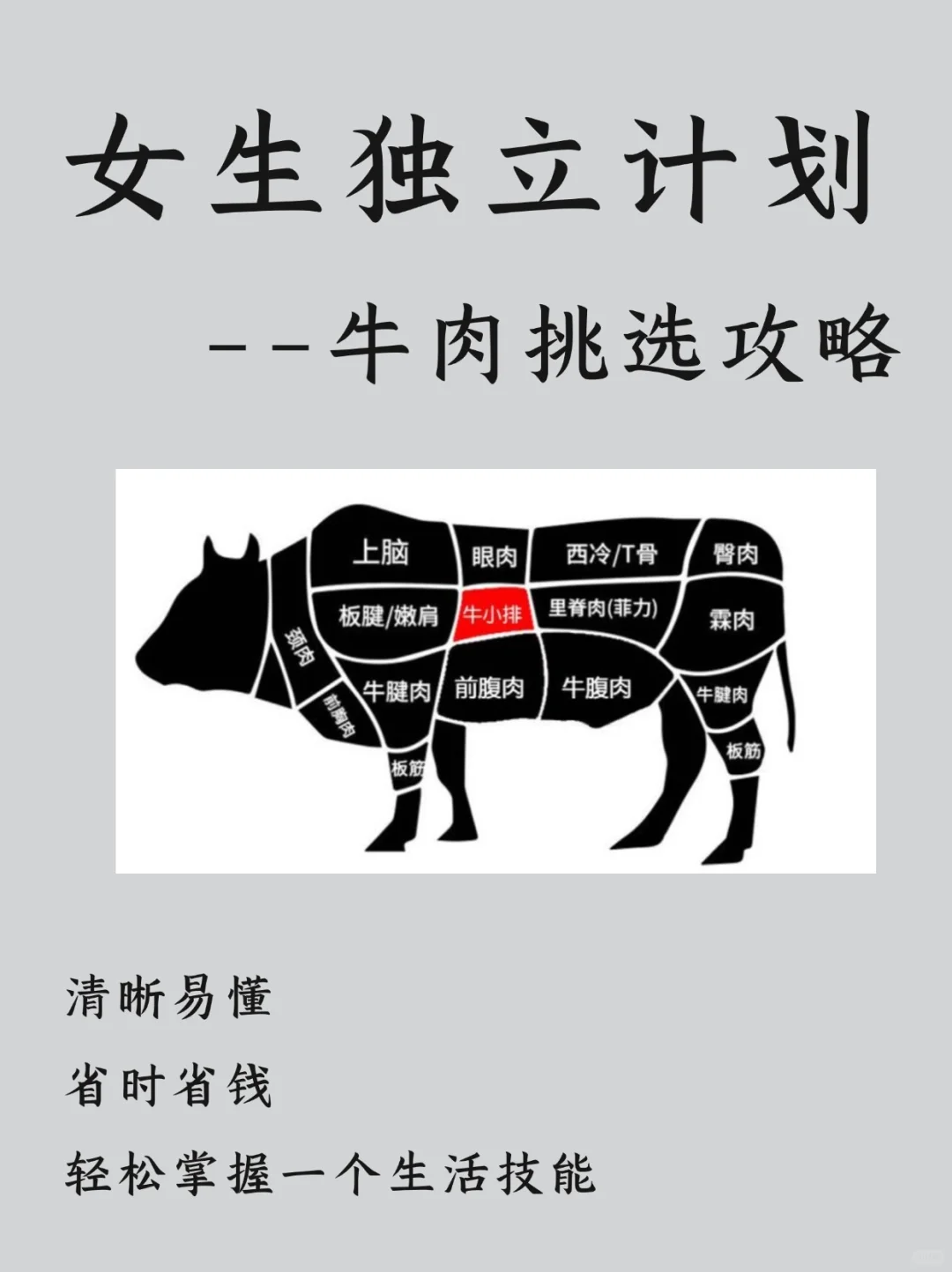 牛肉挑选攻略✅小小牛肉🐂，拿下拿下✔️