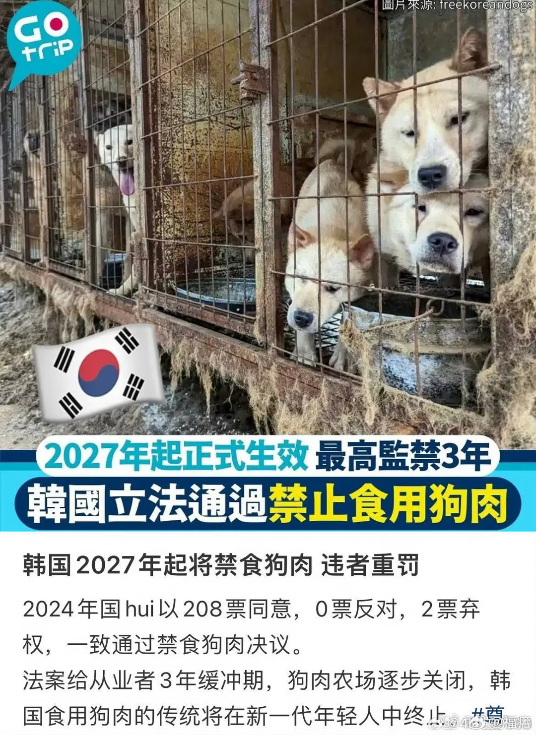 真好啊为小狗发声