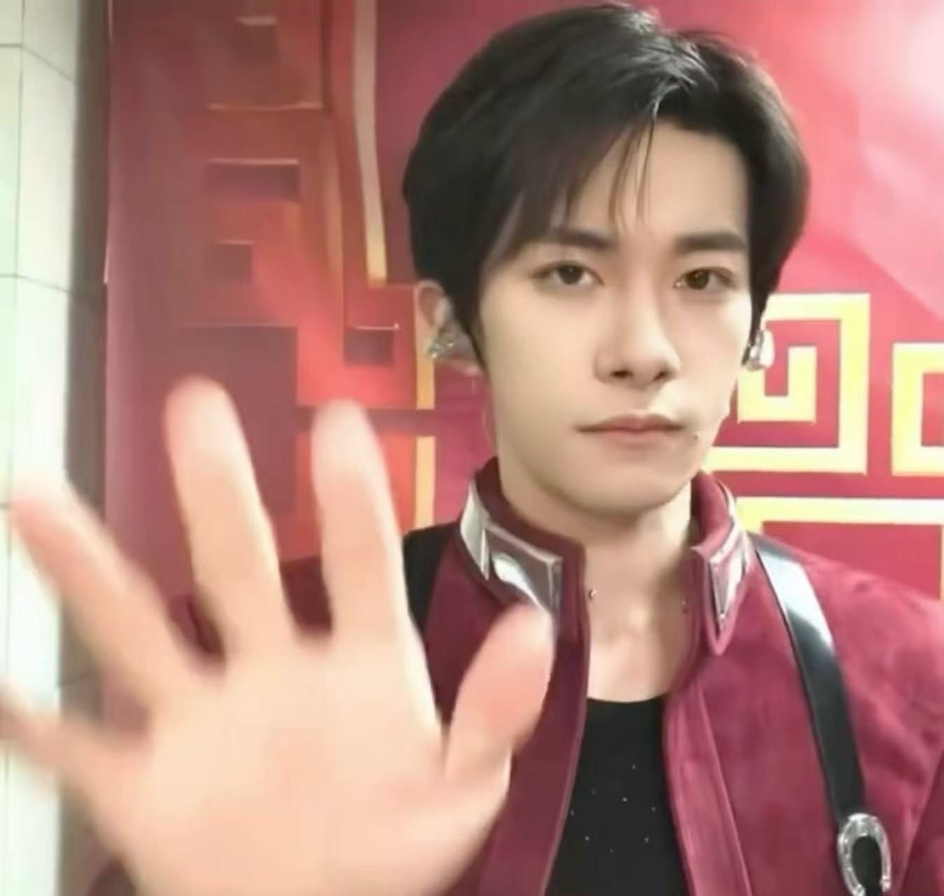 猫爪，比猫爪还小的脸 