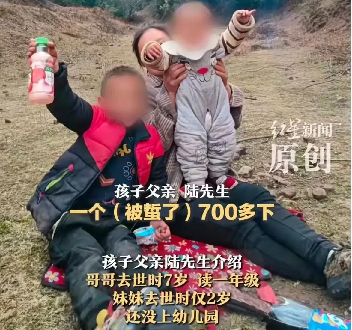 这起令人心碎的悲剧再次将公众的情感推向了高潮，也引发了关于责任、法律与人性的激烈
