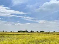 阿根廷小麦首航中国，开启经贸新篇

12月13日，一艘满载6.5万吨阿根廷小麦的